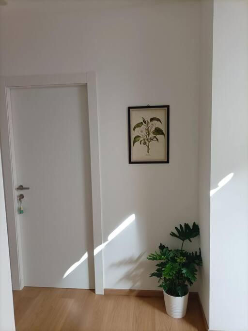 Loving My Rooms 1 - Deliziosa Mansarda In Centro غوريزيا المظهر الخارجي الصورة